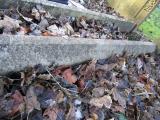 image of grave number 364800